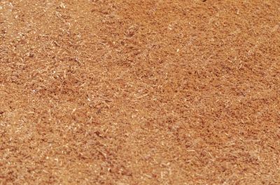 Textura de Madeira 64